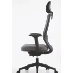 Premium High-Back Ergonomic Office Chair | Breathable Mesh, Adjustable Lumbar Support & 1-Year Warranty
