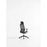 Premium High-Back Ergonomic Office Chair | Breathable Mesh, Adjustable Lumbar Support & 1-Year Warranty