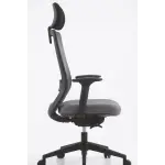 Premium High-Back Ergonomic Office Chair | Breathable Mesh, Adjustable Lumbar Support & 1-Year Warranty