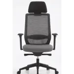 Premium High-Back Ergonomic Office Chair | Breathable Mesh, Adjustable Lumbar Support & 1-Year Warranty