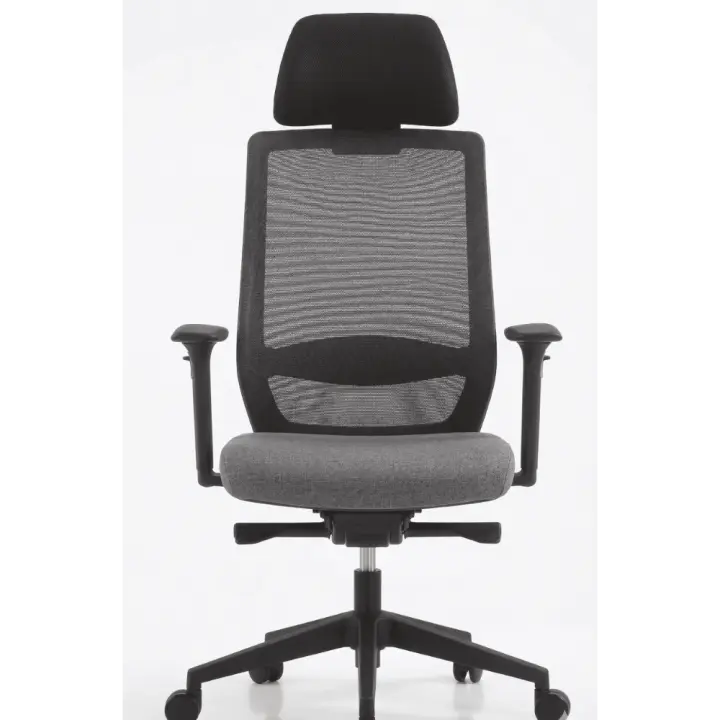 Premium High-Back Ergonomic Office Chair | Breathable Mesh, Adjustable Lumbar Support & 1-Year Warranty