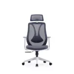 Medical Mesh Chair High Back | Ergonomic Office Chair with 4D Armrests & 1-Year Warranty