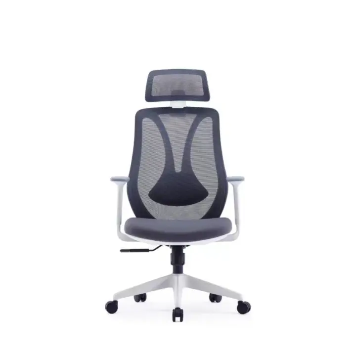 Medical Mesh Chair High Back | Ergonomic Office Chair with 4D Armrests & 1-Year Warranty