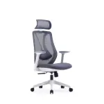 Medical Mesh Chair High Back | Ergonomic Office Chair with 4D Armrests & 1-Year Warranty