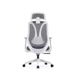 Medical Mesh Chair High Back | Ergonomic Office Chair with 4D Armrests & 1-Year Warranty