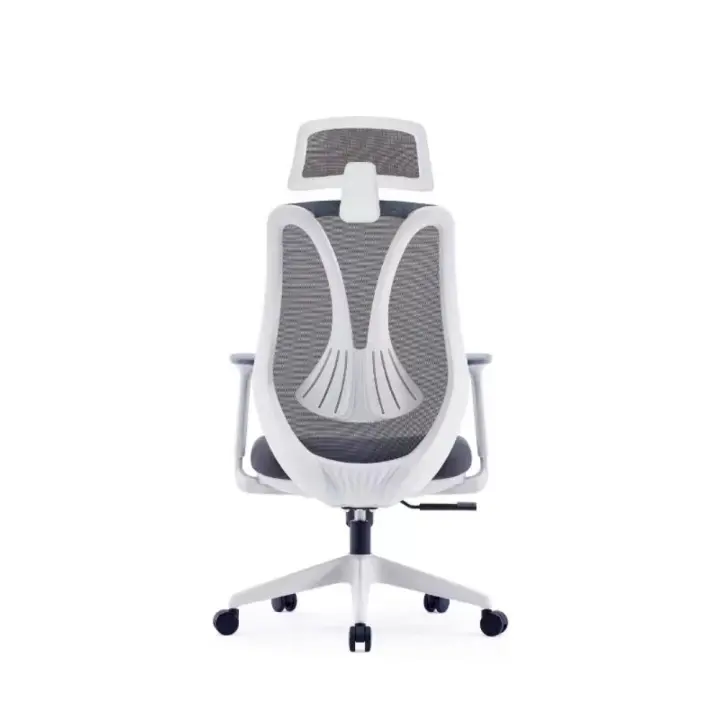 Medical Mesh Chair High Back | Ergonomic Office Chair with 4D Armrests & 1-Year Warranty